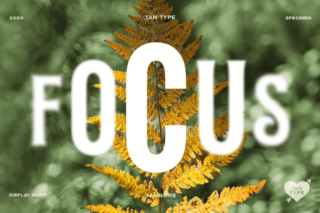 TAN Jambore Display Typeface – serif font for book covers
