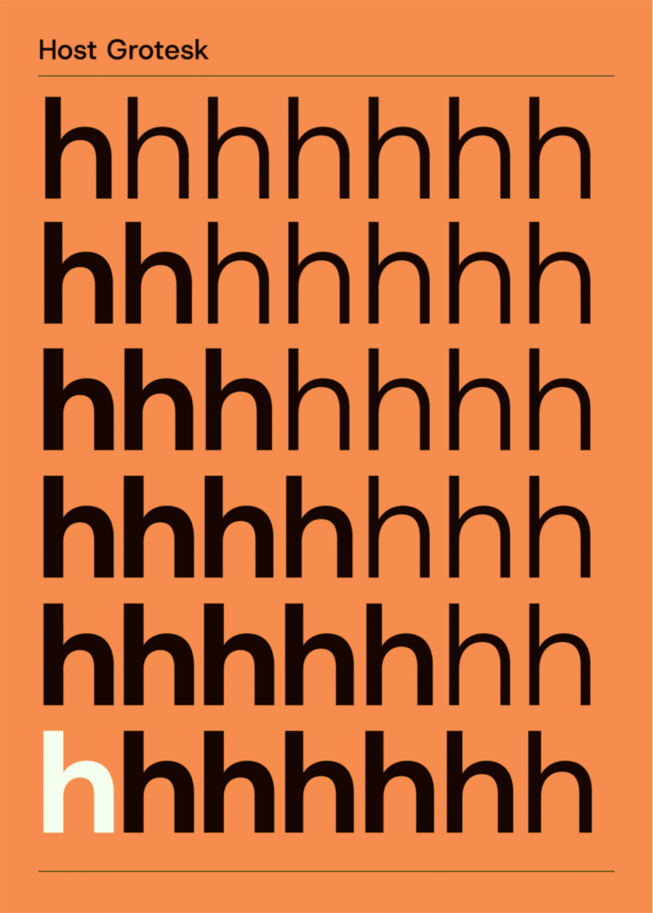 Host Grotesk font used in modern web interface design.