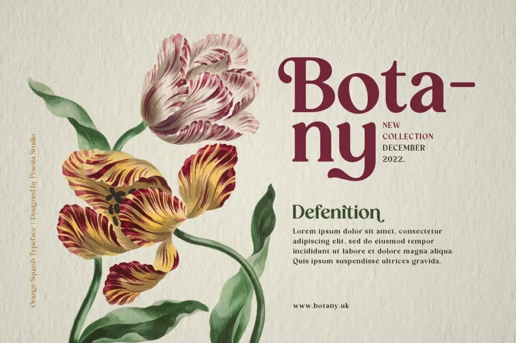 Orange Squash serif font showcasing bold vintage style.