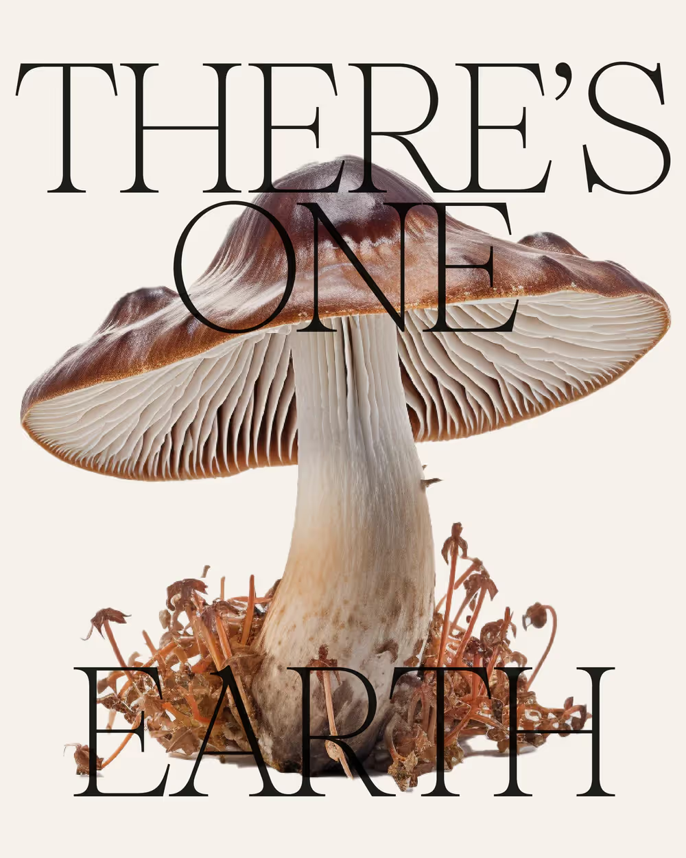 PP Pangaia typeface showcasing organic serif details inspired by nature’s curves and textures.