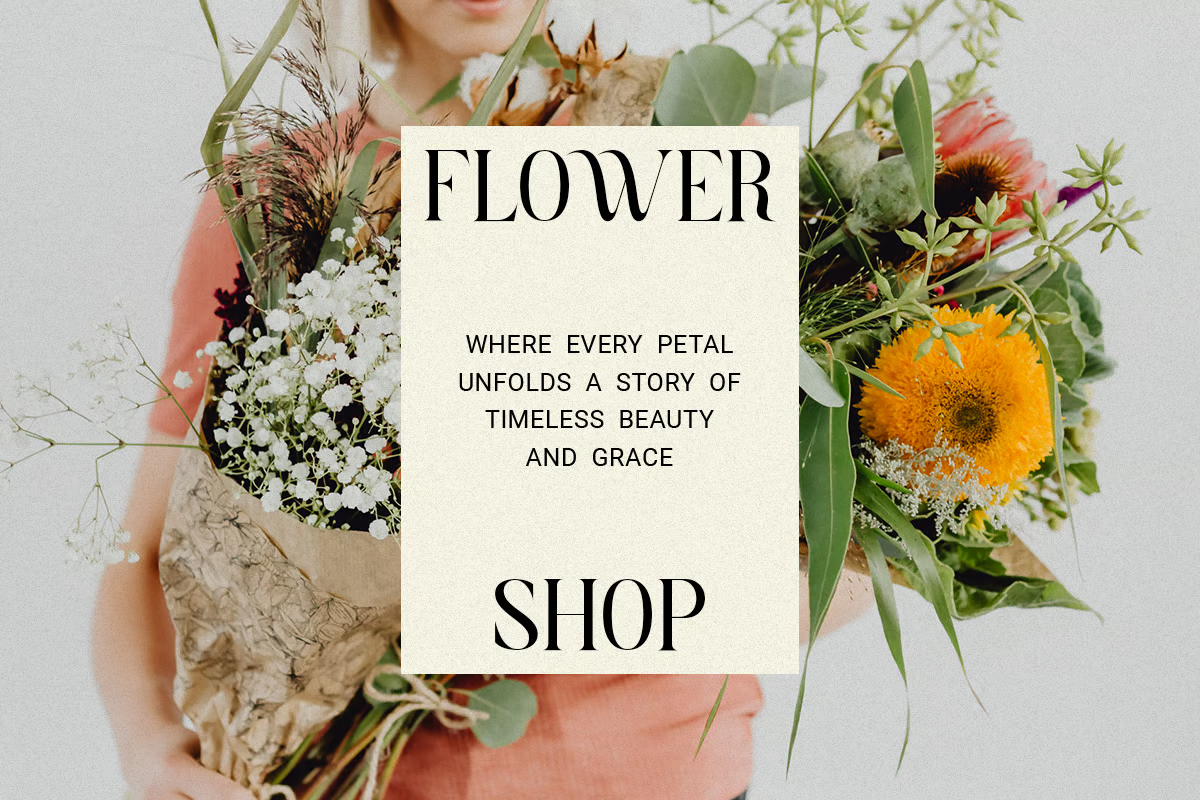 Vania serif font showcasing elegant modern typography.